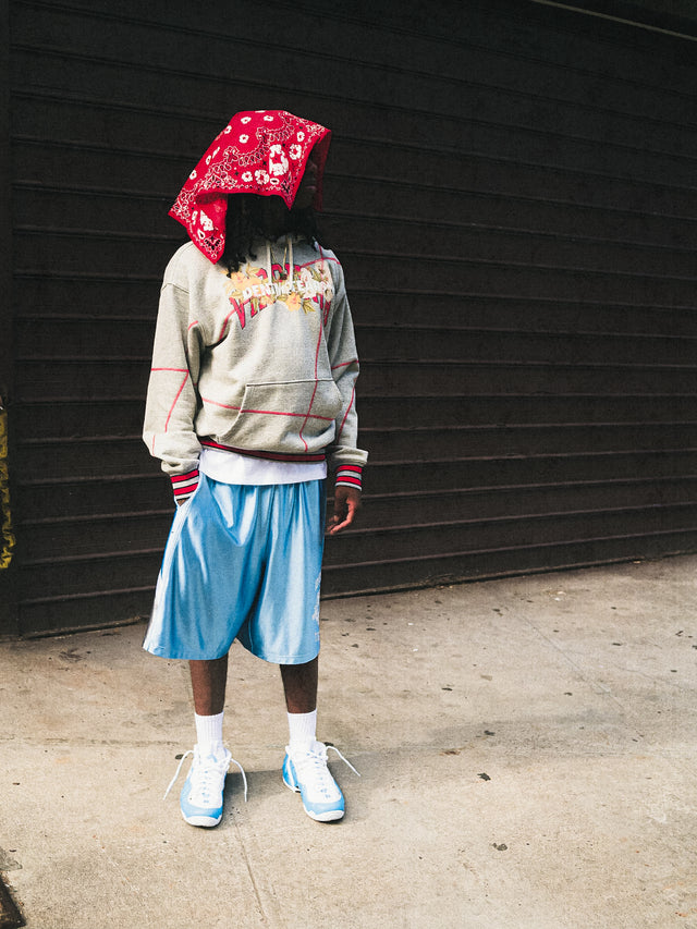 DT Virginia Overlock Stitch Hoodie Grey