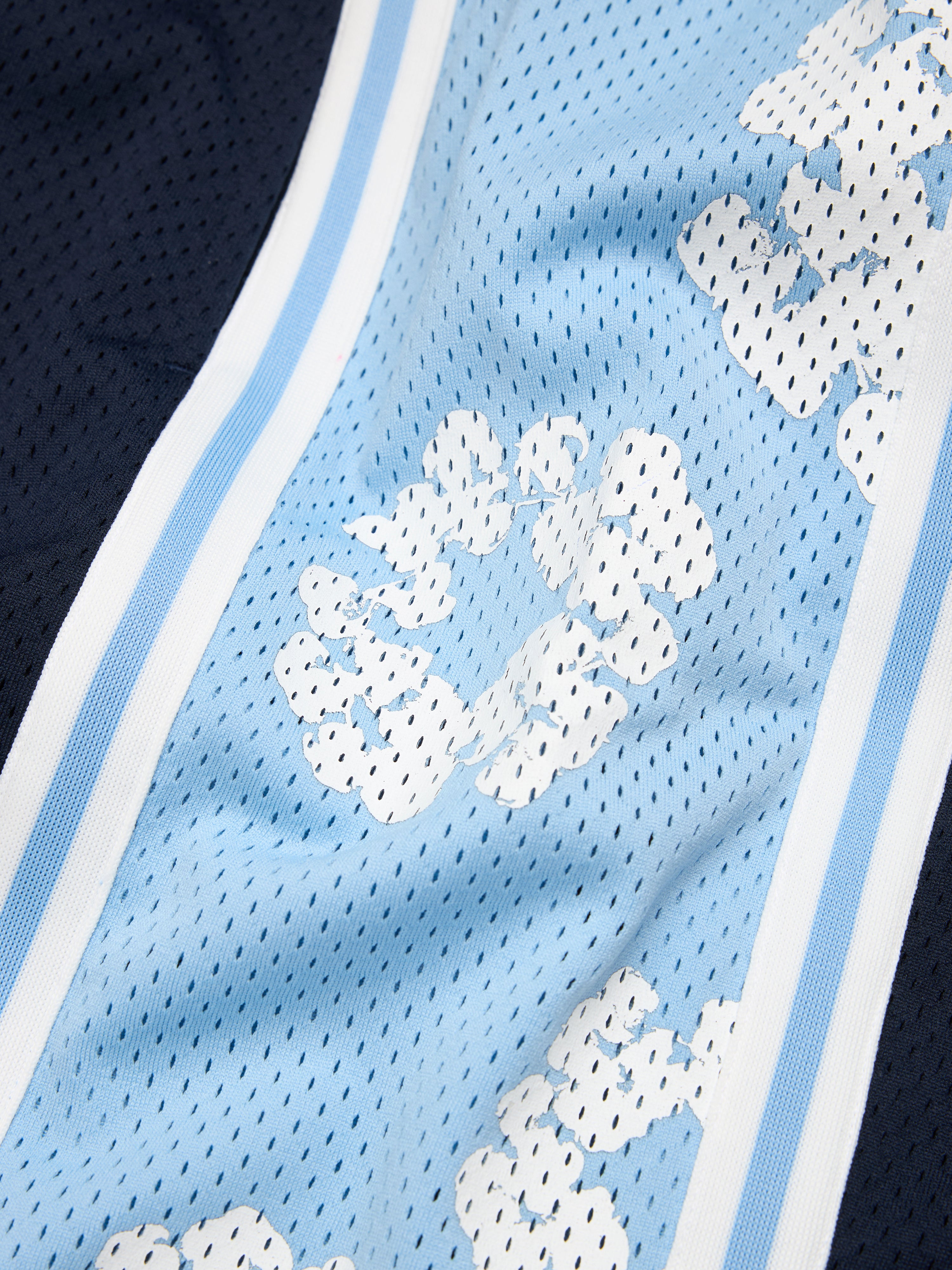 Cotton Wreath 90s Basketball Shorts Blue – DENIM TEARS