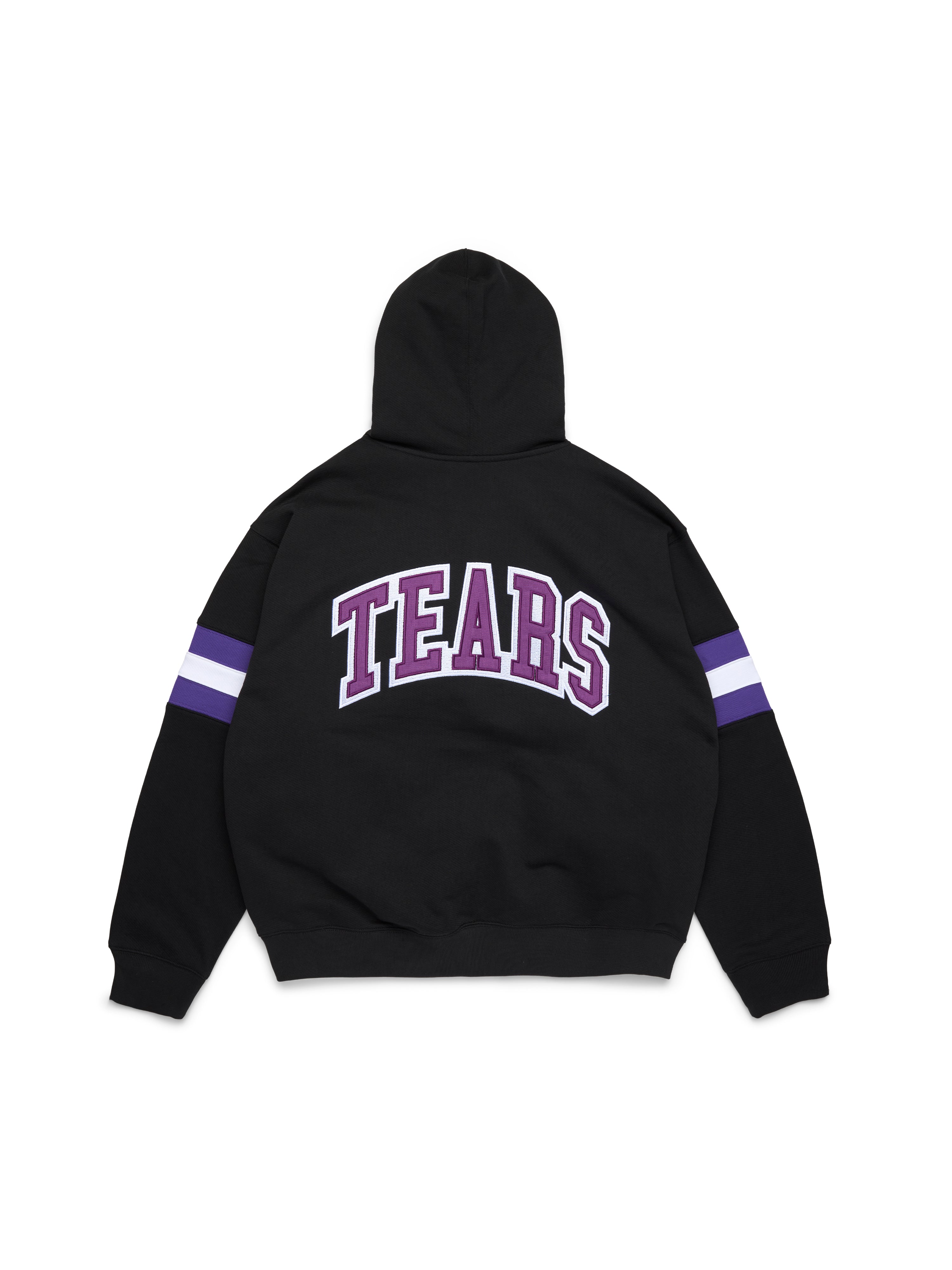 DTStripedZipHoodie-Black-Back.