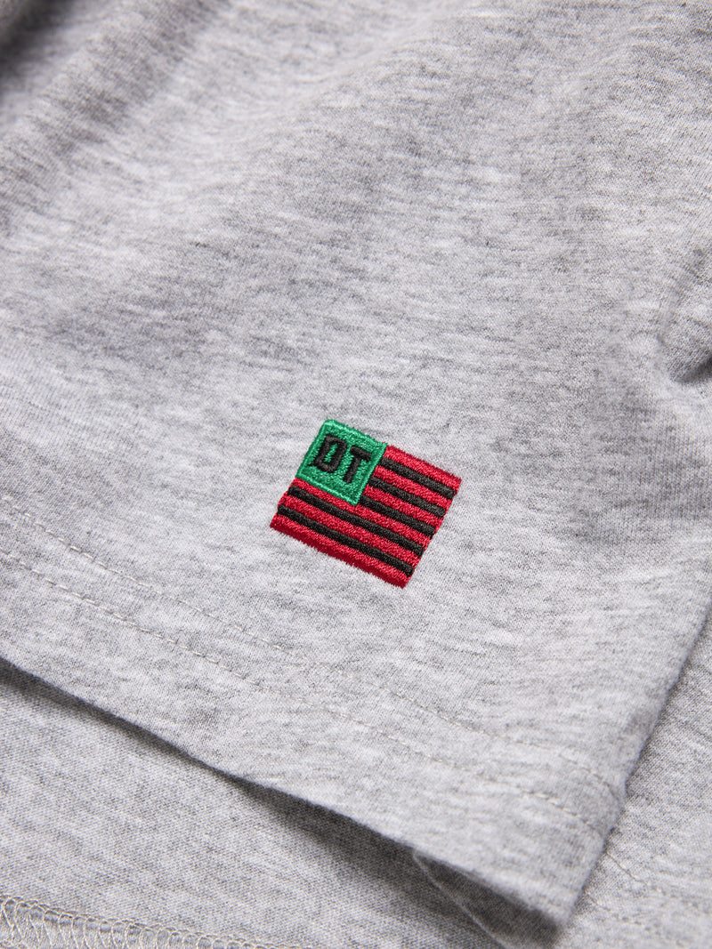 DT Flag 3-Pack Long Sleeve Tee Grey