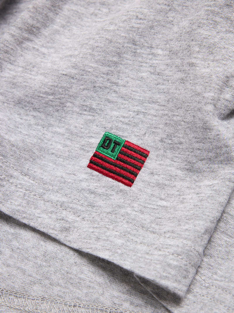 DT Flag 3-Pack Tee Grey